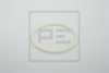 PE Automotive 046.169-00A Seal Ring